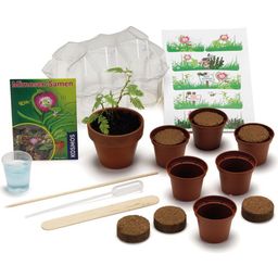Mimosa Garden (INSTRUCTIONS AND PACKAGE IN GERMAN) - 1 item