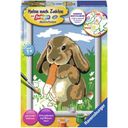 Ravensburger Paint By Numbers - Cuddly Bunny - 1 item