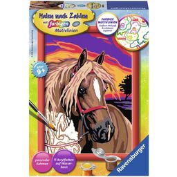 Painting by Numbers - Dream Horse (PACKAGE AND INSTRUCTIONS IN GERMAN)