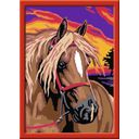 Painting by Numbers - Dream Horse (PACKAGE AND INSTRUCTIONS IN GERMAN) - 1 item