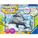 Ravensburger Paint By Numbers - Friendly Dolphins - 1 item