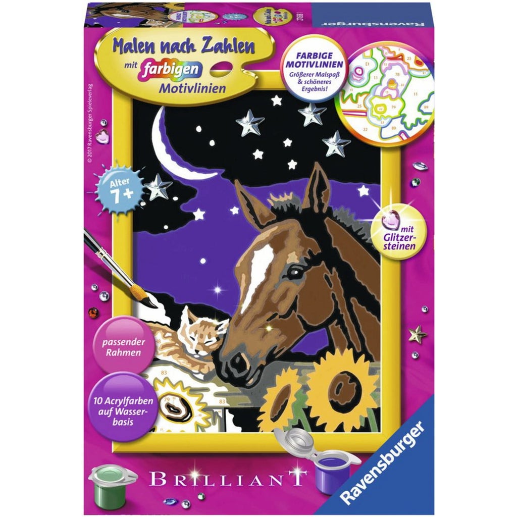 Ravensburger Paint By Numbers Deep Friendship Playpolis UK