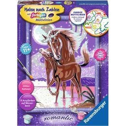 Paint by Numbers - Horse Whisper (PACKAGING & INSTRUCTIONS IN GERMAN) 