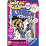 Ravensburger Paint By Numbers - Lovely Horses