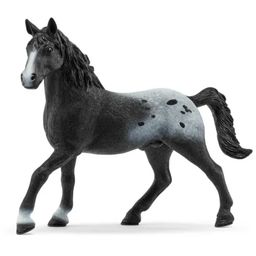 72197 - Horse Club - Knappstrupper Stallion - 1 item