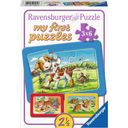 Puzzle - my first puzzles - Moji živalski prijatelji, 3 x 6 delov