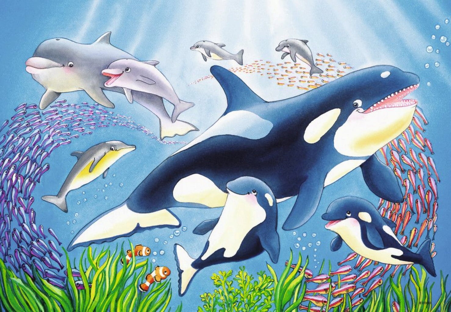 Puzzle - Kunterbunte Unterwasserwelt, 2x24 Teile - 1 Stk