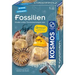 KOSMOS GERMAN - Fossils - Excavation Set - 1 item