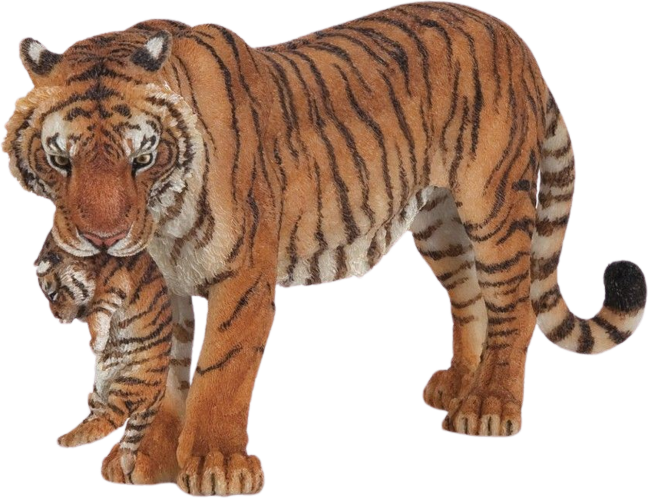 Tigerin mit Jungtier