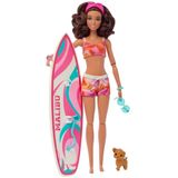 Barbie Surf Doll & Accy