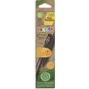 Carioca Eco Family HB Pencils with Eraser