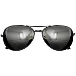 Widmann Police Glasses with Mirrored Lenses - 1 item