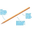 Carioca Pastel Pencils - 12 items