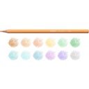 Carioca Pastel Pencils - 12 items