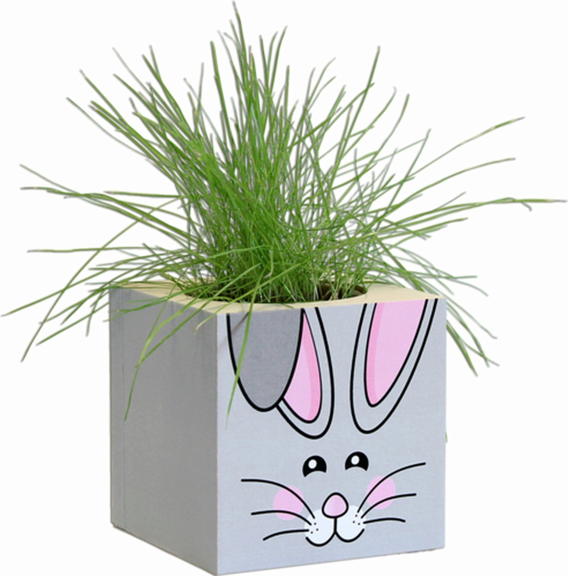 Feel Green Grass Cube 