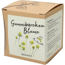 Naturkraftwerk Anzuchtset Gummibärchenblume - 1 Stk