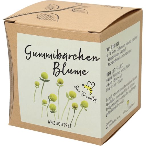 Naturkraftwerk Anzuchtset Gummibärchenblume - 1 Stk