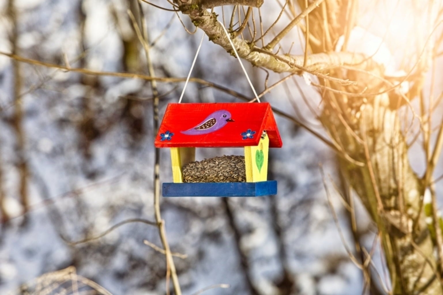 Windhager Mangiatoia per Uccelli DIY - Woopecker - 1 pz.