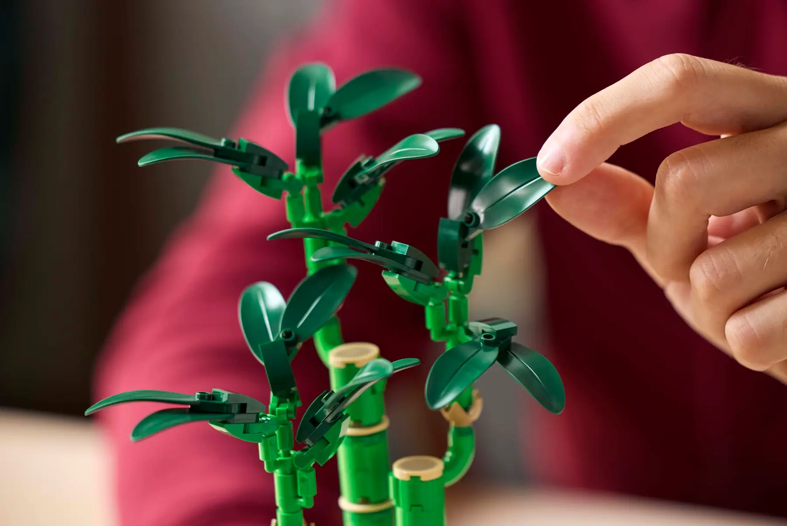 LEGO Botanicals - 10344 Glücks-Bambus