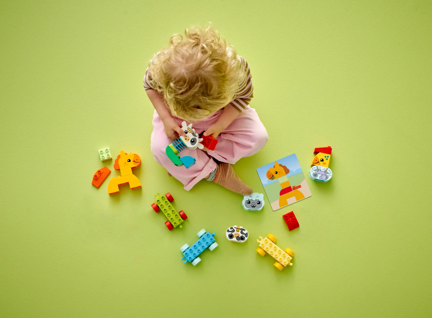 LEGO DUPLO - 10412 Tierzug