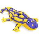 Splashing Salamander™ Pool Float 191 x 119 cm - 1 item