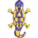 Splashing Salamander™ Pool Float 191 x 119 cm - 1 item