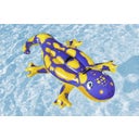 Splashing Salamander™ Pool Float 191 x 119 cm - 1 item