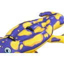 Splashing Salamander™ Pool Float 191 x 119 cm - 1 item