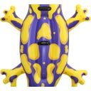 Splashing Salamander™ Pool Float 191 x 119 cm - 1 item