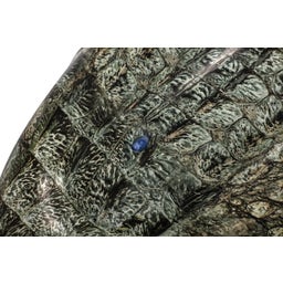 Bestway Realistic Reptile™ Float 193 x 94 cm - 1 item