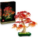 Botanicals - 10348 Japanischer Roter Ahorn