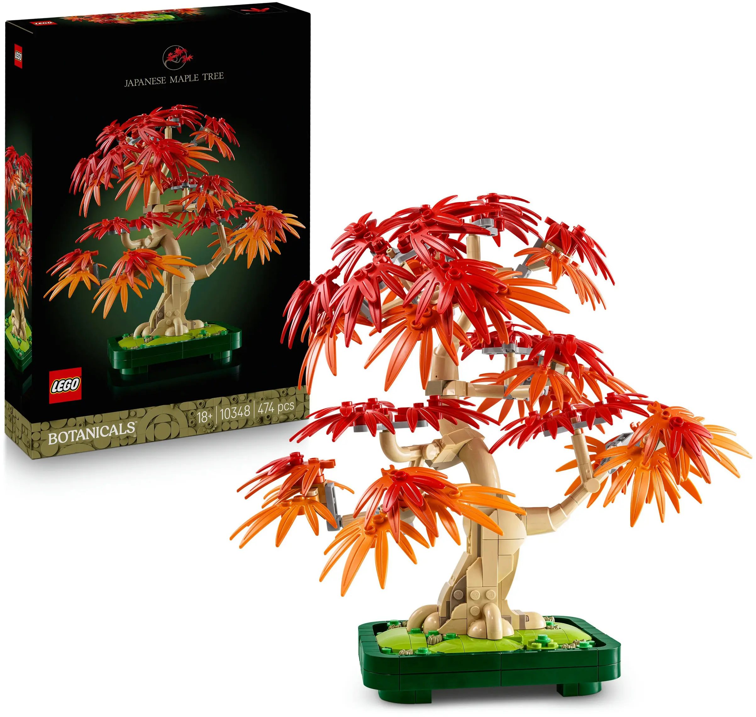 Botanicals - 10348 Japanischer Roter Ahorn