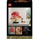 Botanicals - 10348 Japanischer Roter Ahorn