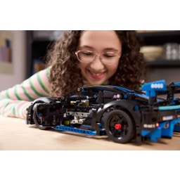Technic - 42176 Porsche GT4 e-Performance racing car