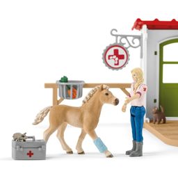 42502 - Farm World - Veterinarska ambulanta s hišnimi ljubljenčki - 1 k.