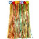 Fries Colourful Hula Skirt - 1 item